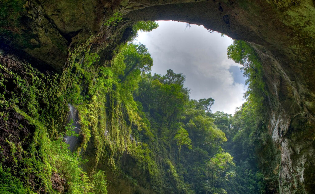 Parque Nacional el Yunque